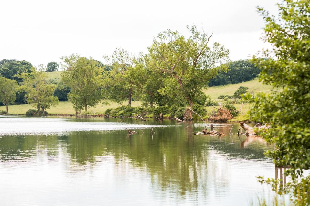 Agriturismo Lago Di Mezzano Valentano Luaran gambar